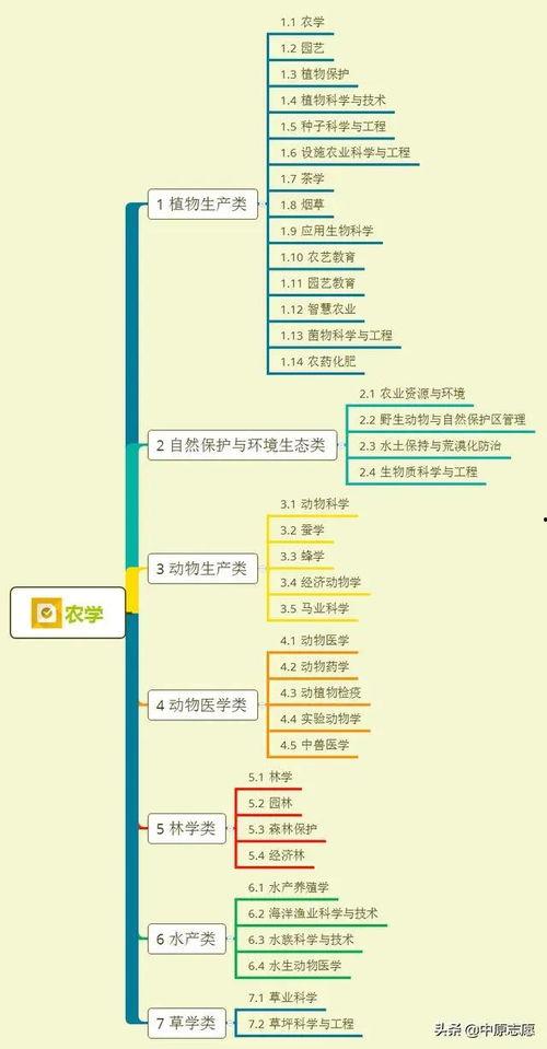 肉鸡背影爆料视频大全集,揭秘幕后真相与感人瞬间