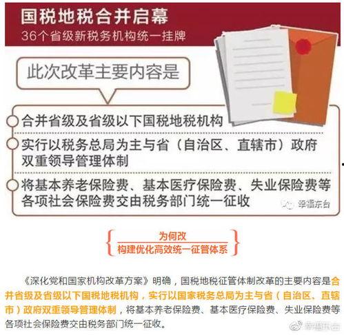 今日爆料新闻讲解内容怎么写,深度解析新闻事件背后的真相  第3张