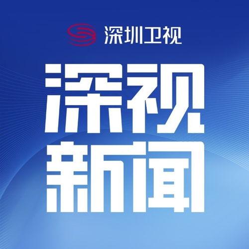 深圳电视台 新闻爆料,揭秘某事件背后真相  第2张