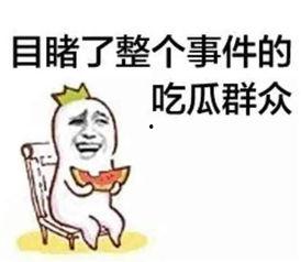 娱乐唠嗑开心吃瓜的小说,吃瓜群众逆袭记  第3张