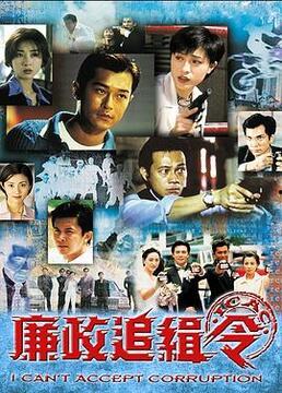 廉政追缉令在线观看,正义追踪，真相大白  第2张