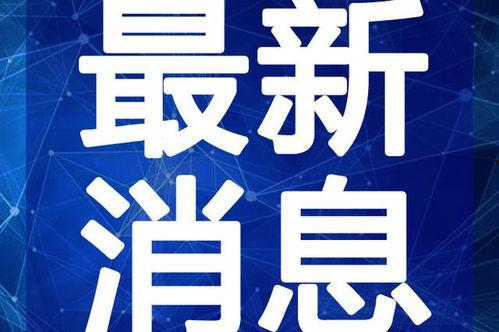 汕头粥店爆料视频最新版,揭秘潮汕美食背后的秘密  第2张