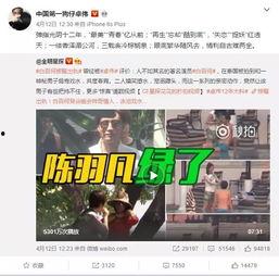 张小佳爆料李易峰视频,真相与争议并存  第2张